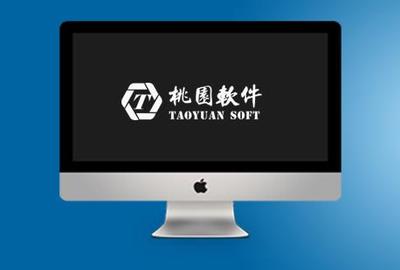 广州桃园软件公司-广州软件定制开发服务资深软件开发企业